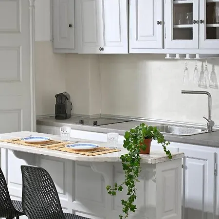 Casa D'irene Mykonian 公寓 *